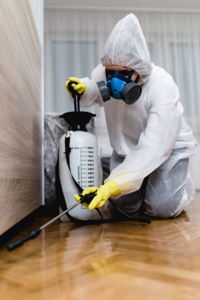 Best Pest Prevention Services  in Pierre Part, LA